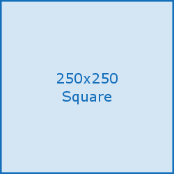 advert 250x250 square